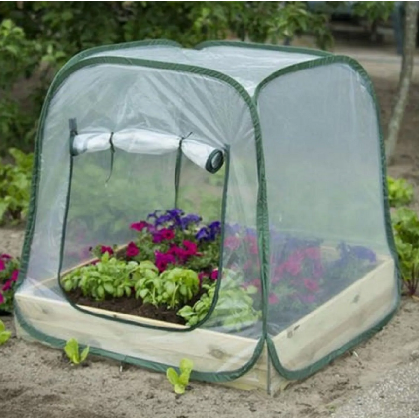Serre Pop Up pour carré potager 100x100cm