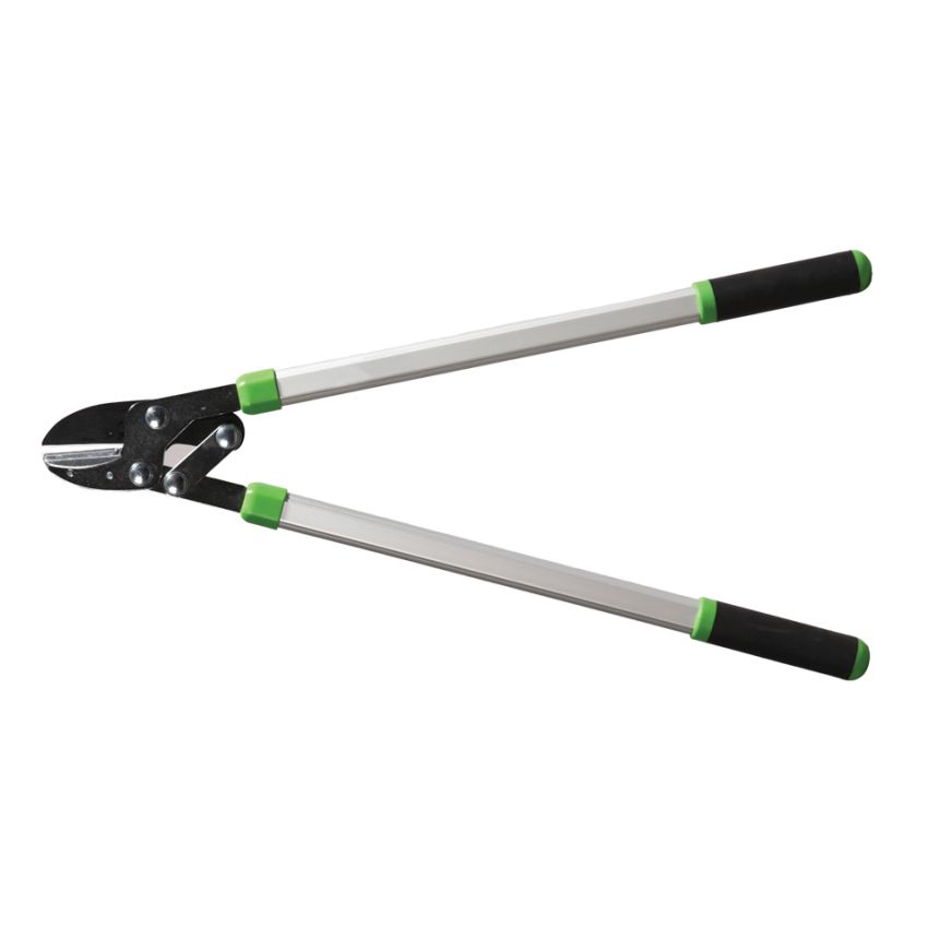 Ebranchoir à Enclume