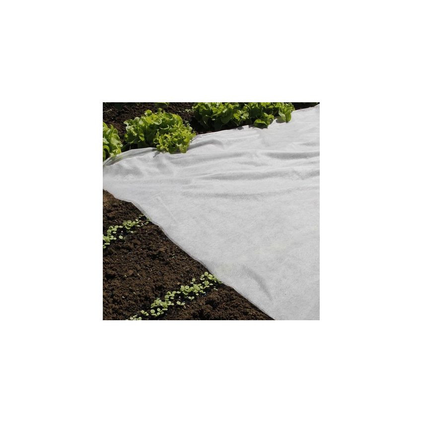 Voile de forçage nature 2 x 10 M