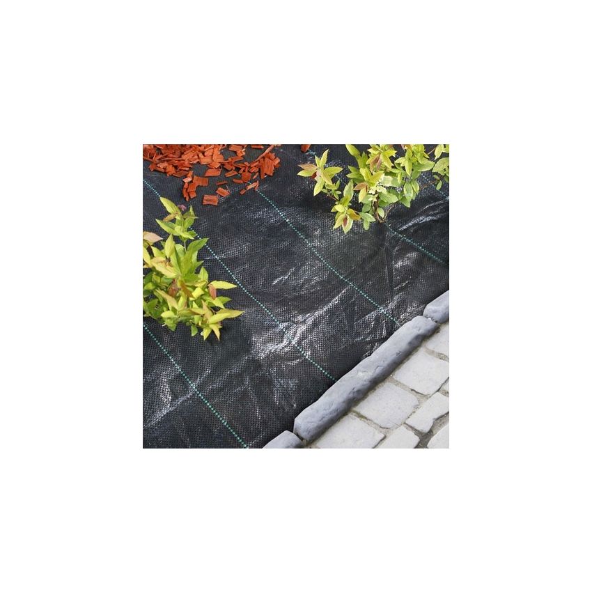 Toile de paillage paysage 4,2 x 5 M