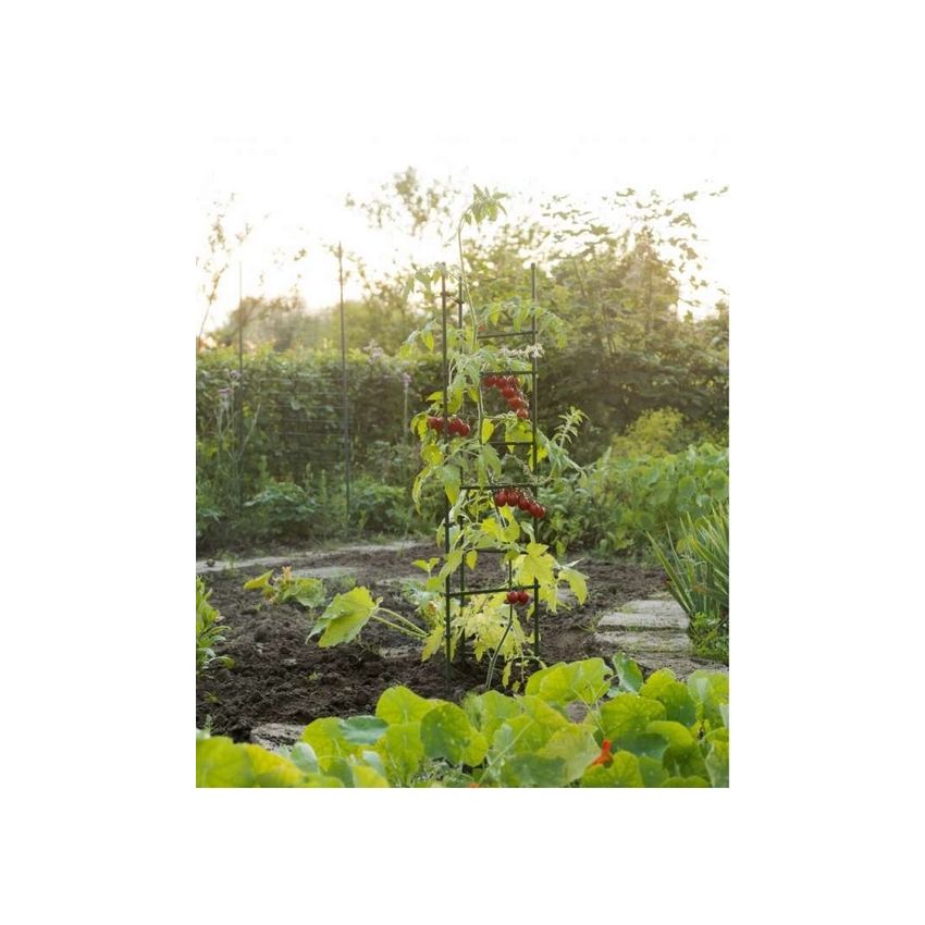 Tuteurs tomates triangulaire 3 x (H150 cm x DIAM11 mm)