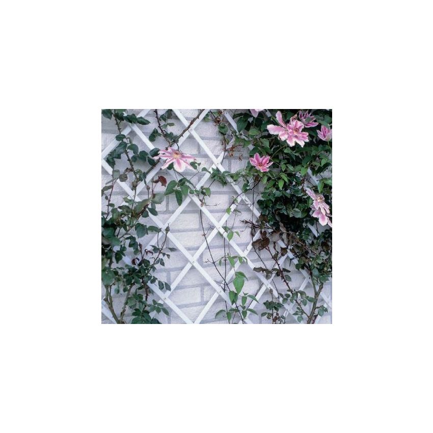 Croisillons Extensibles Blanc 50x150 cm