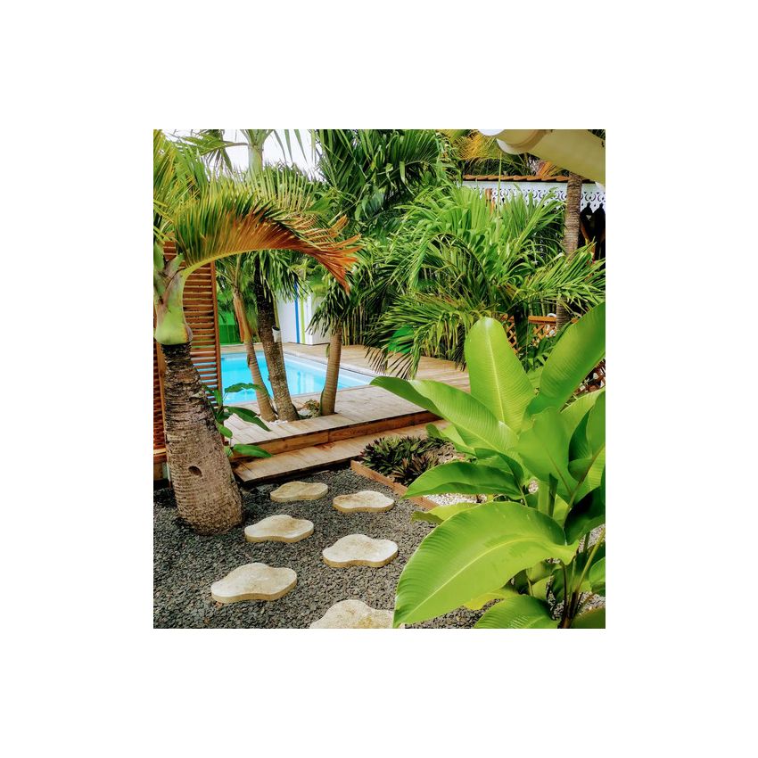 Piscine Bois Capri Carrée avec Plage Immergée + Escalier 420x420x145cm