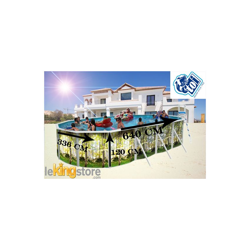 Piscine allongée BOSQUE Acier 640 x 366 cm x H 120cm