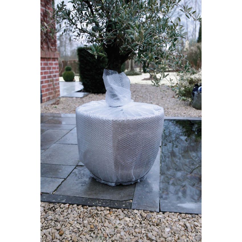 Film A Bulles Transparent 1 x 3 m