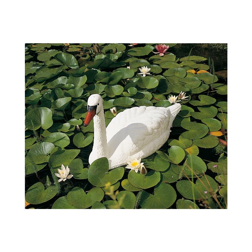 Cygne Blanc pour Décoration de Bassin de Jardin