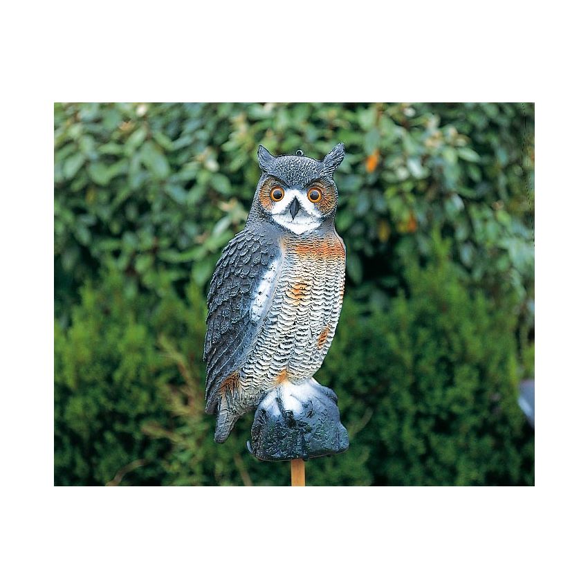 Hibou pour Décoration de Bassin de Jardin