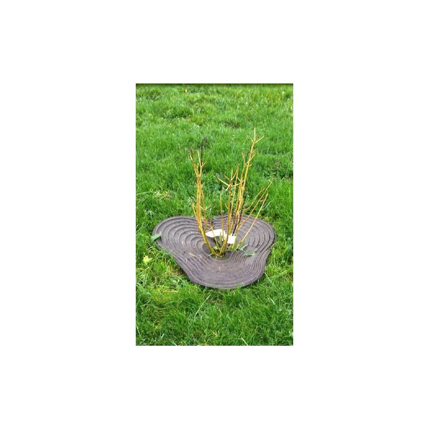 Paillage 100% biodégradable